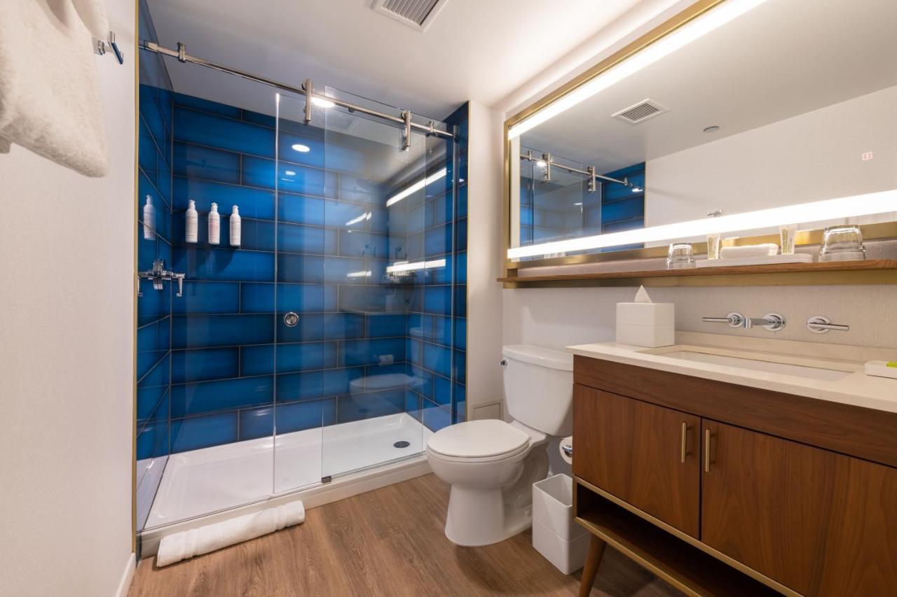 Deluxe King Room Limited View Roll Shower Mobility Accessible