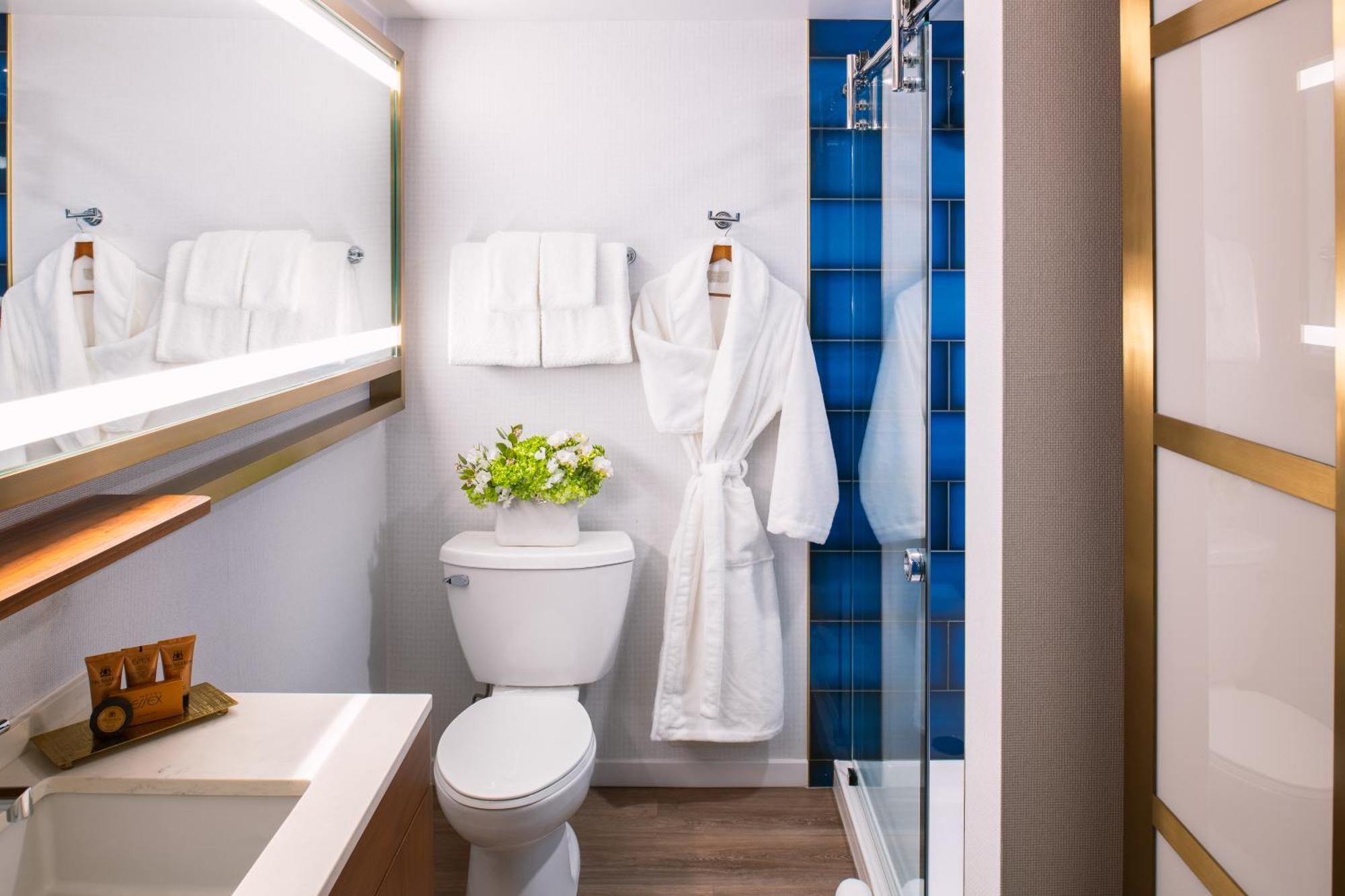 Deluxe King Room Limited View Roll Shower Mobility Accessible