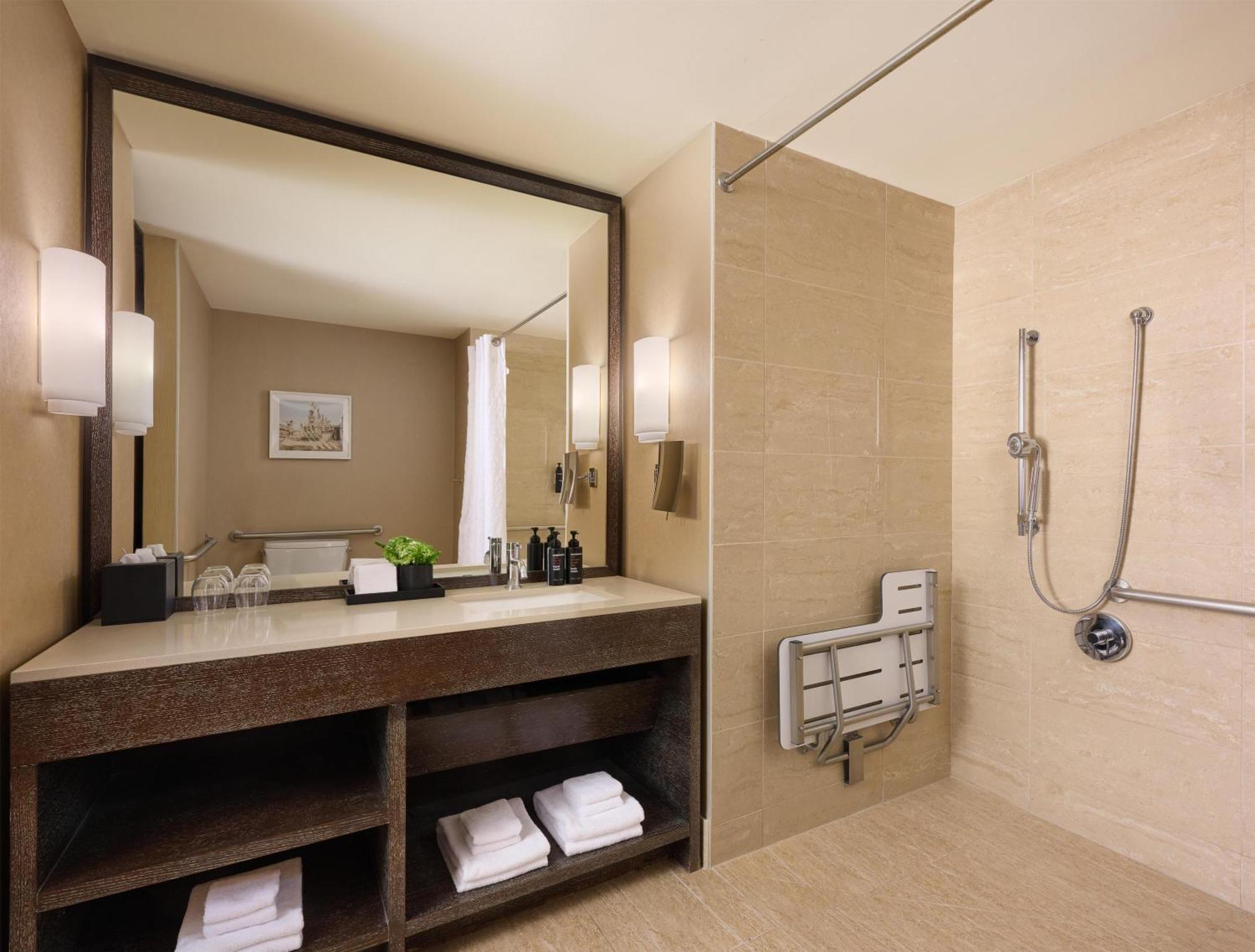 Deluxe King Room City View Roll Shower Mobility or Hearing Accessible