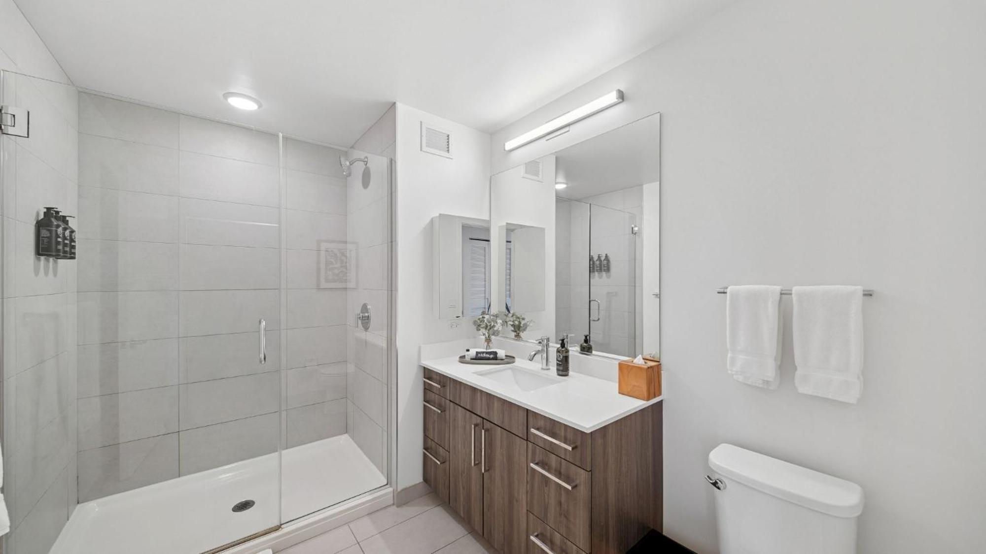 Studio Apt South Loop Chicago