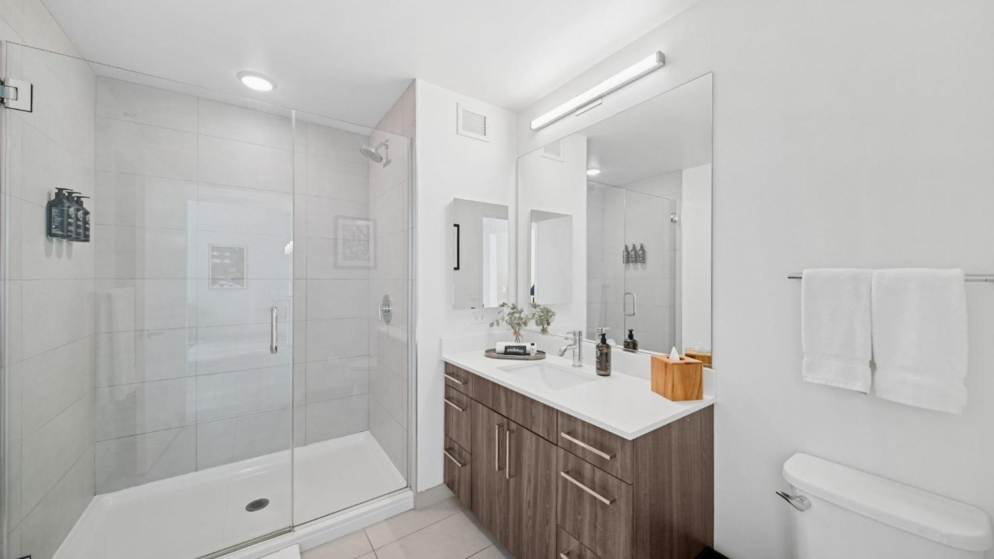 1 Bedroom Apt South Loop Chicago