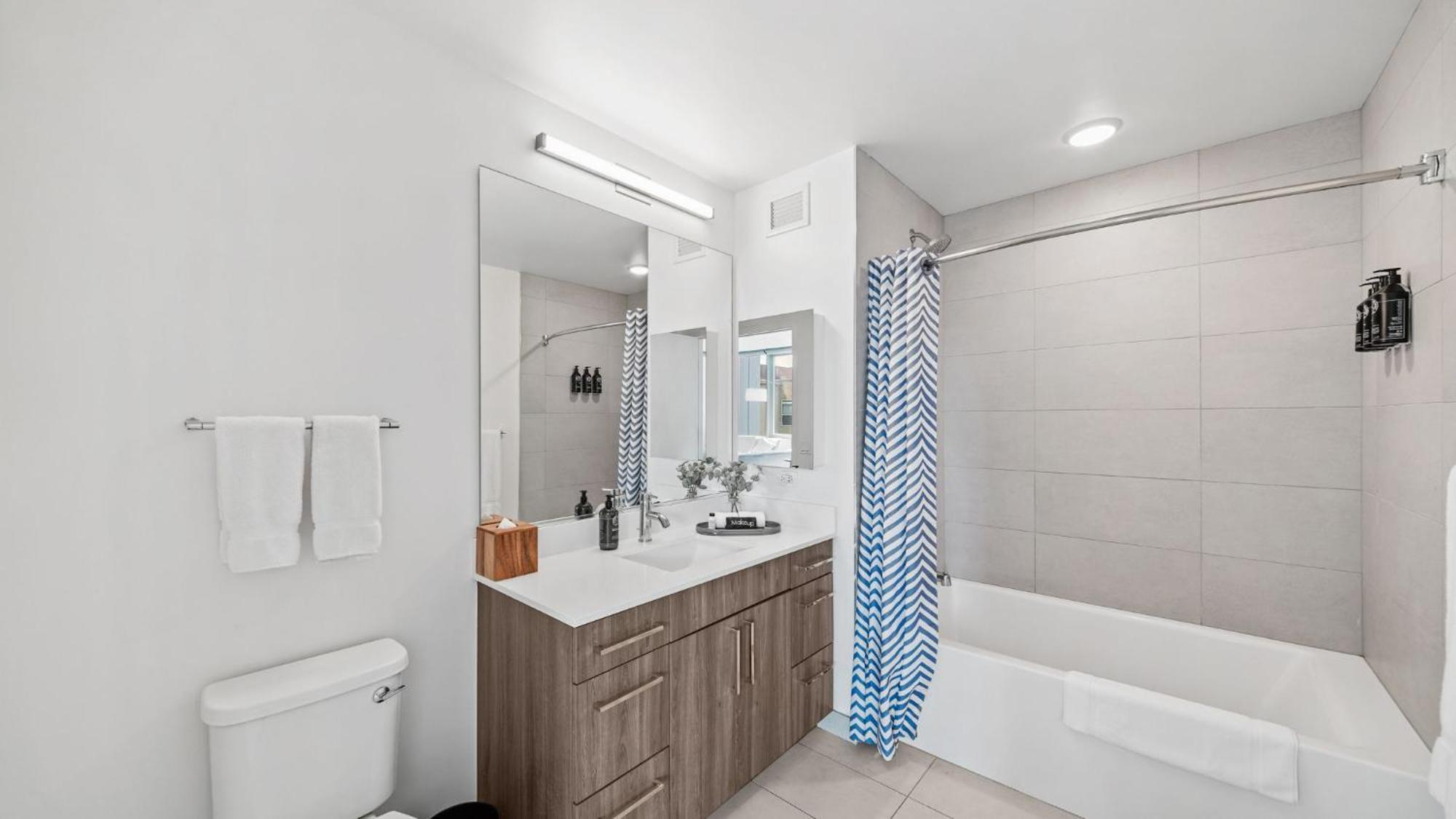 2 Bedroom Apt South Loop Chicago