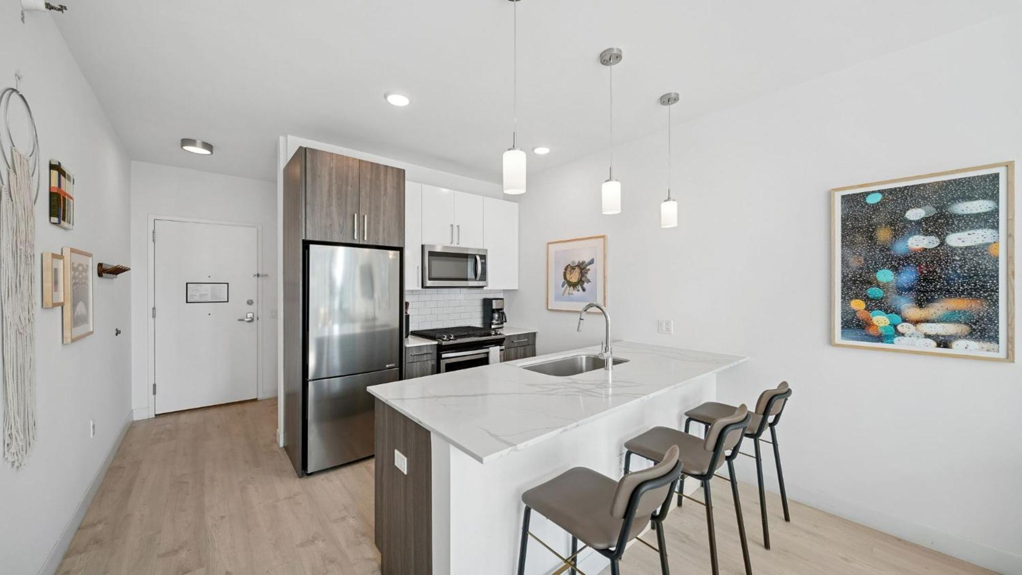 1 Bedroom Apt South Loop Chicago