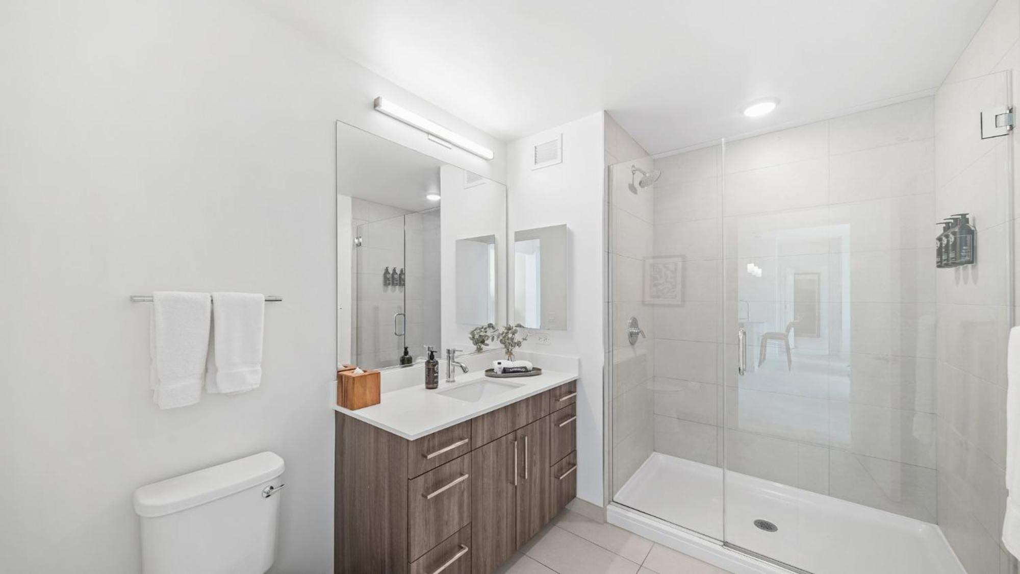 2 Bedroom Apt South Loop Chicago