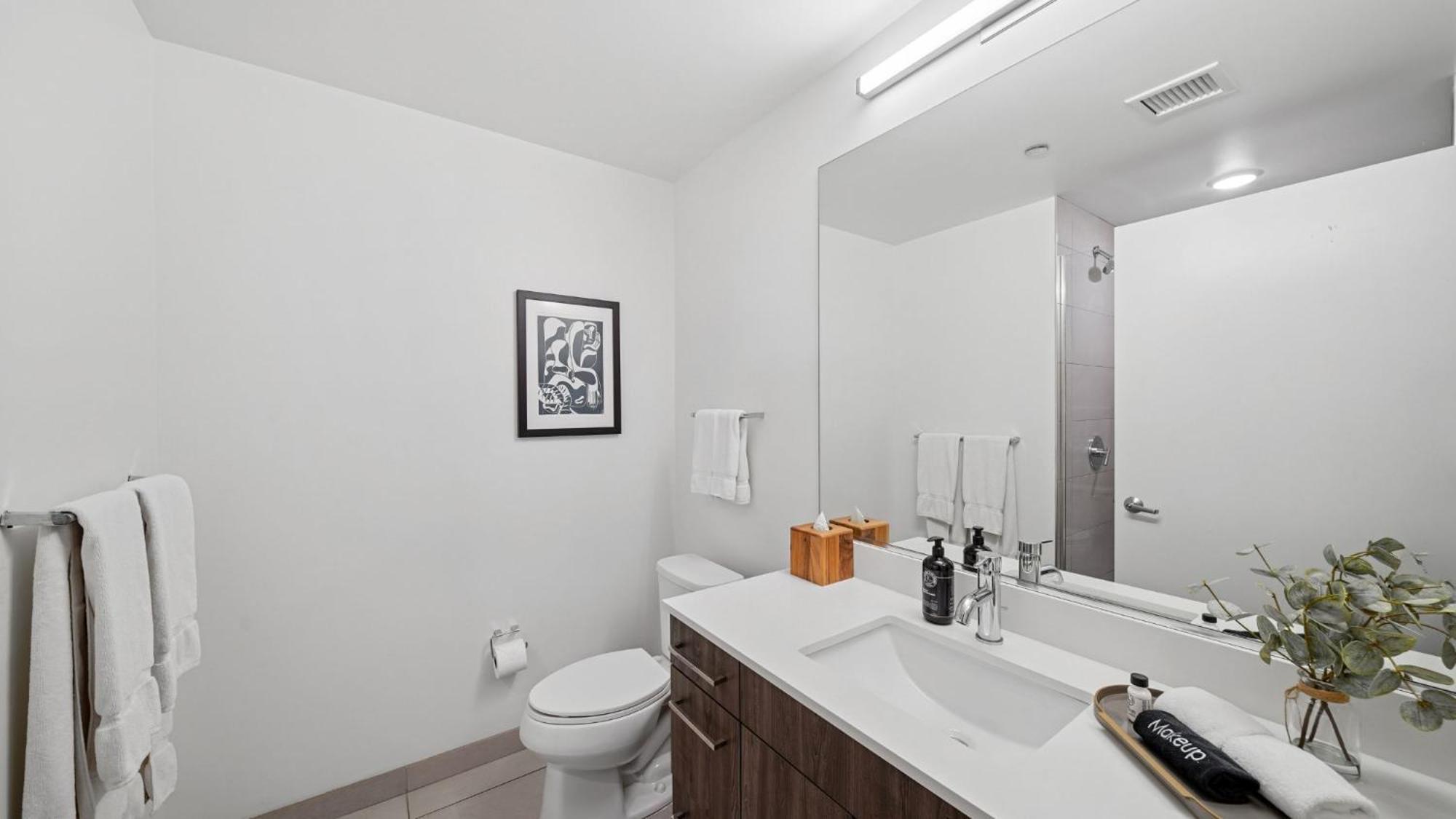 1 Bedroom w or Den South Loop Chicago