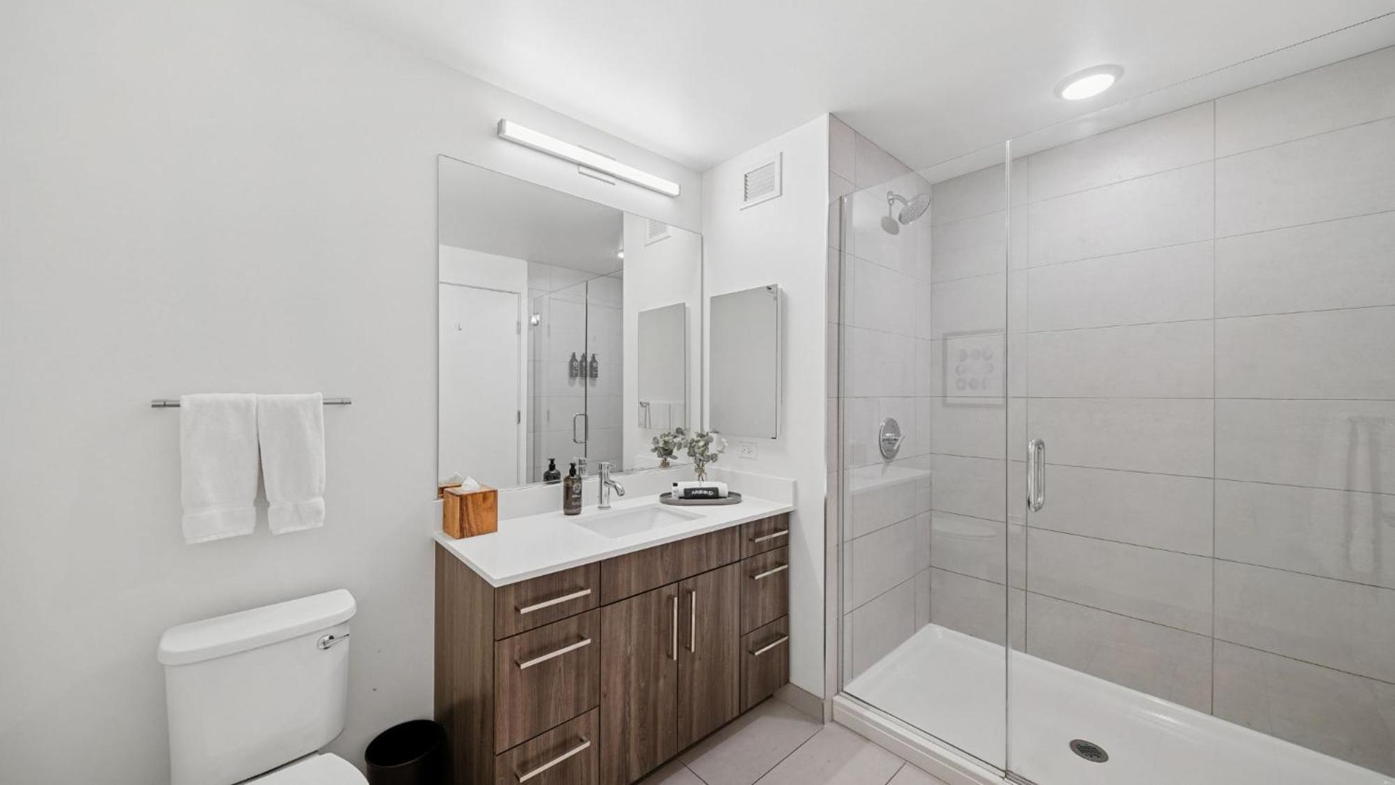 1 Bedroom Premium Apt South Loop Chicago
