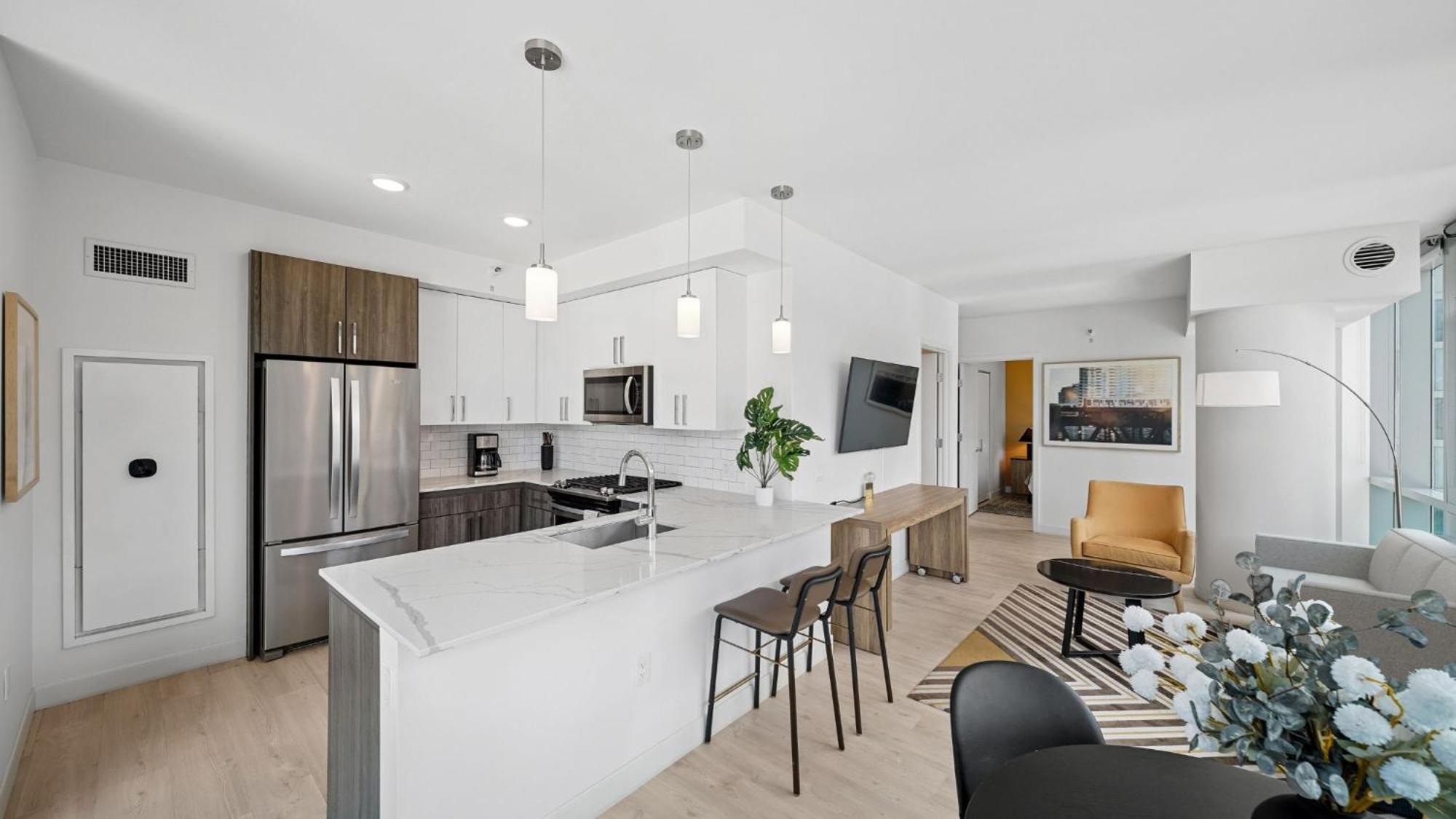 2 Bedroom Premium Apt South Loop Chicago