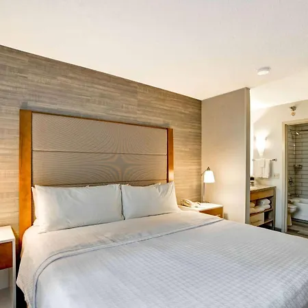 Homewood Suites By Hilton Chicago-Downtown-3