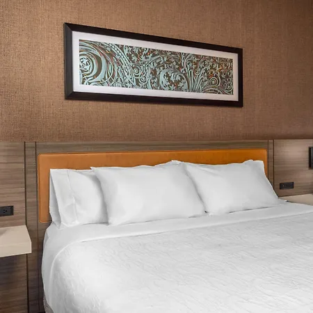 Hilton Garden Inn- Chicago Central Loop-2