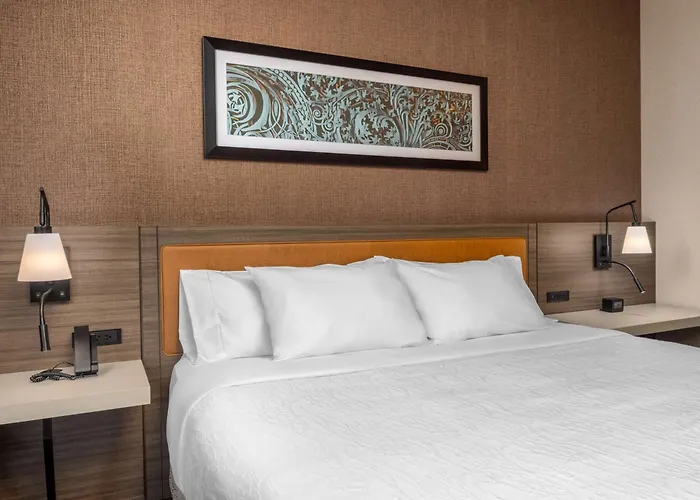 Hilton Garden Inn- Chicago Central Loop